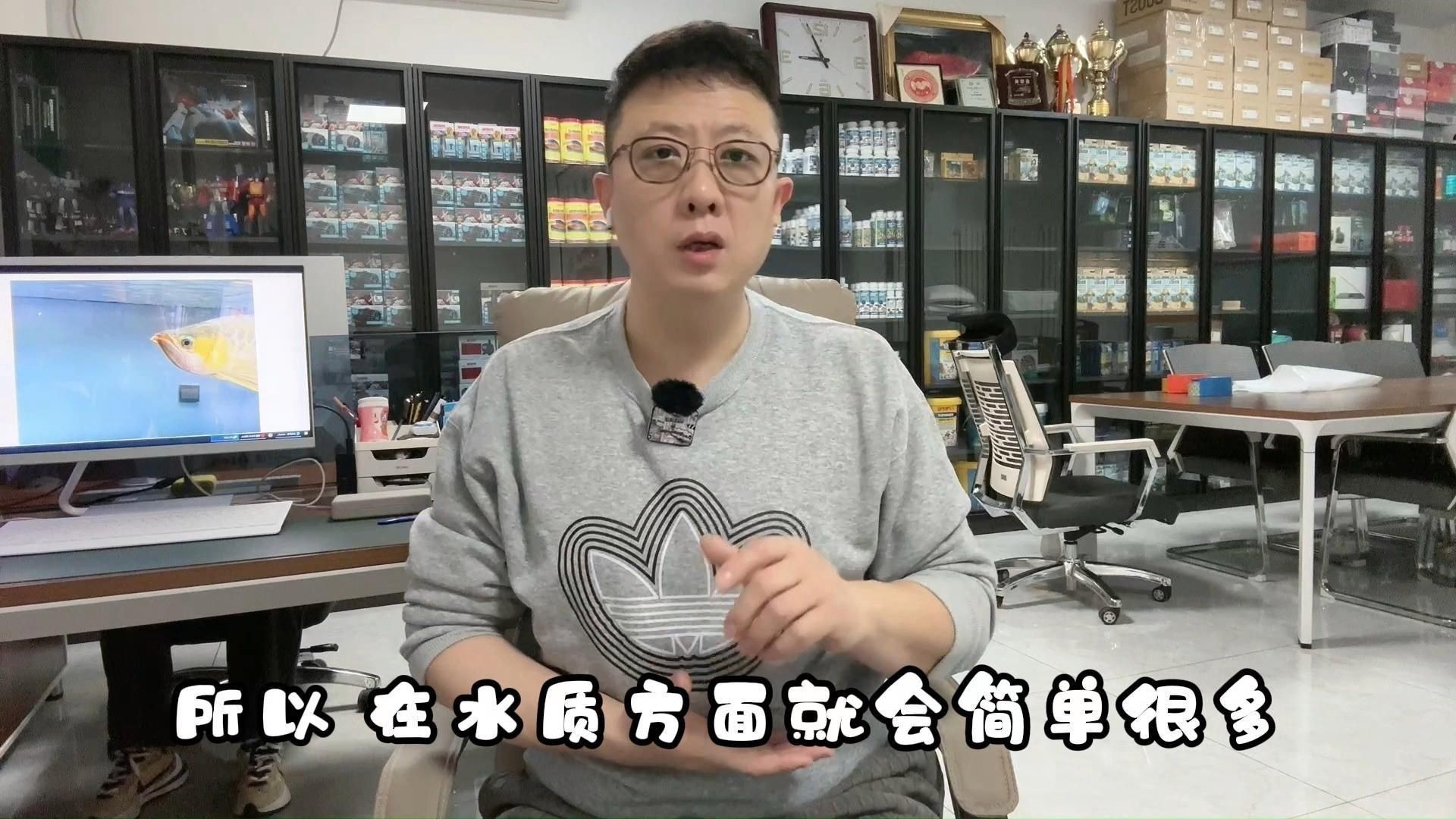 龍魚不發色是什么原因【龍魚不發色的原因】