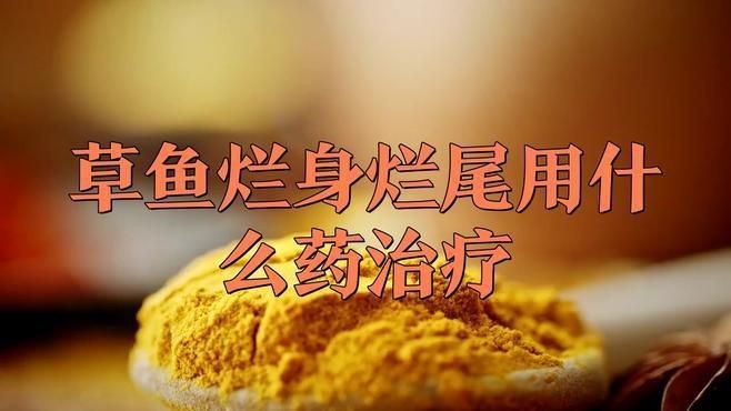 魚爛尾用什么藥治療【魚類爛尾病治療方案】