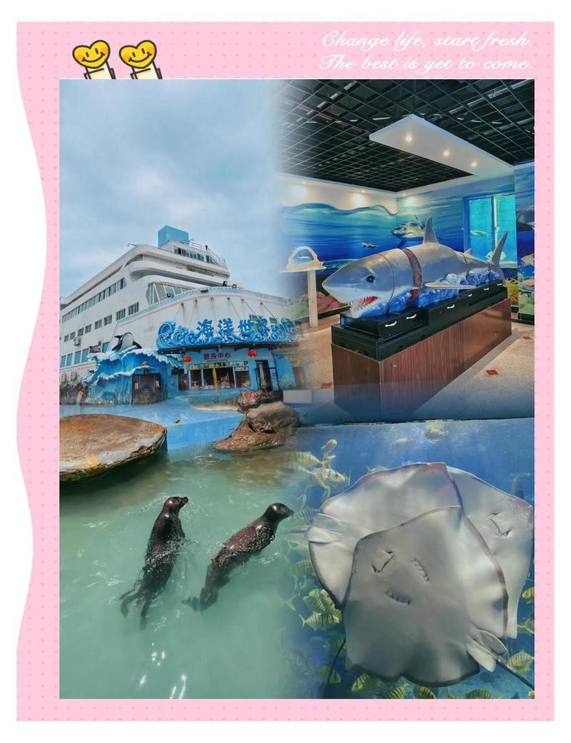石獅水族店