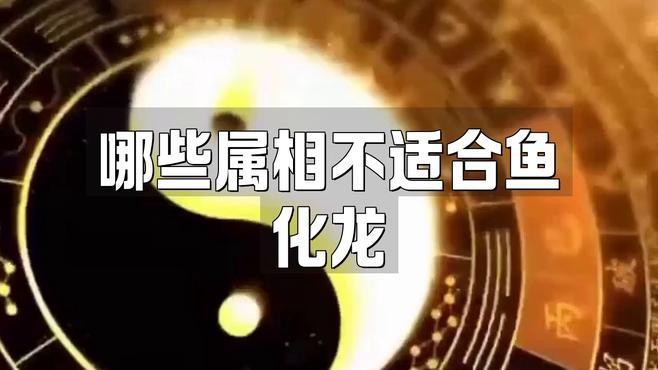 魚化龍佩戴有哪些講究？【關(guān)于魚化龍飾品的佩戴講究需結(jié)合文化寓意、材質(zhì)特性及個人命理綜合考量】