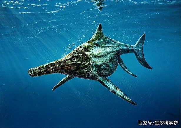 魚龍是魚還是龍【古生物“魚龍”到底是魚還是恐龍】 魚龍是魚還是龍【古生物“魚龍”到底是魚還是恐龍】 龍魚論壇 第1張