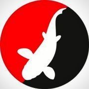 錦鯉之家論壇【錦鯉之家論壇：水族愛好者的精神家園】