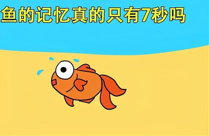 魚智商相當于人幾歲【關于魚類智商的科學研究】