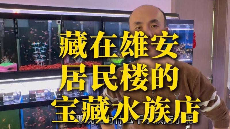 雄安新區(qū)水族店【雄安新區(qū)多家特色水族店及海洋主題場館綜合整理】