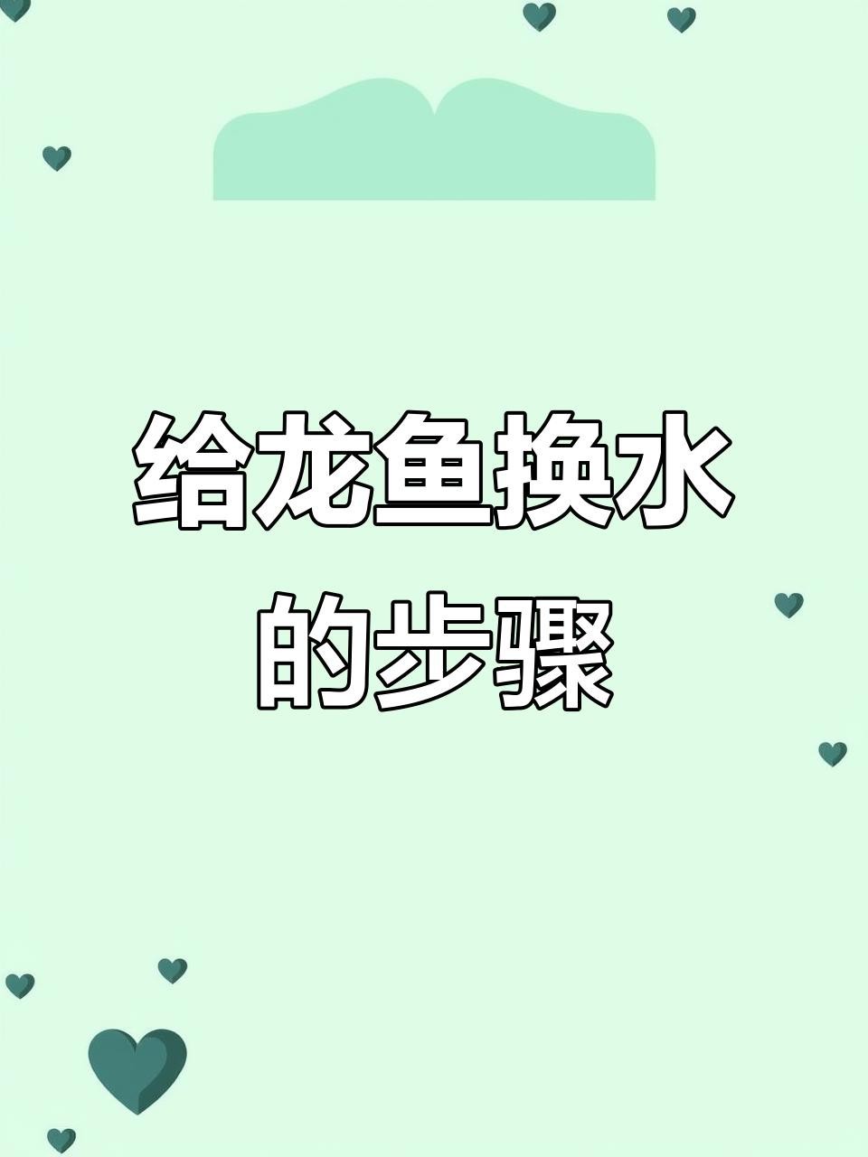 紅龍魚多久換一次水【紅龍魚多久換一次水最好星熒漫記龍魚換水頻率大揭秘】