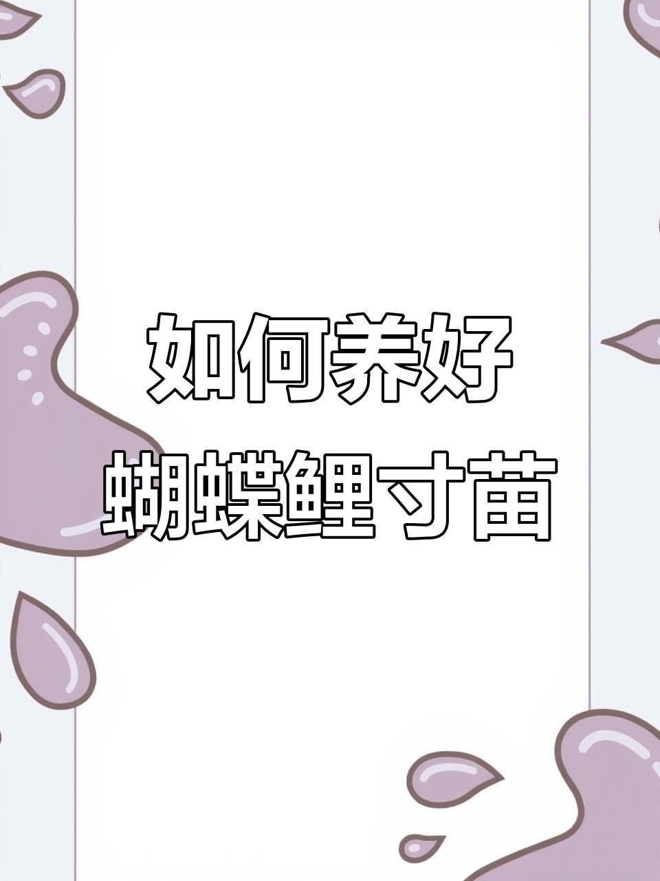 蝴蝶鯉5到6厘米是多久的魚【6厘米的蝴蝶鯉多久能養大】