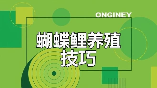 蝴蝶鯉5到6厘米是多久的魚【6厘米的蝴蝶鯉多久能養大】