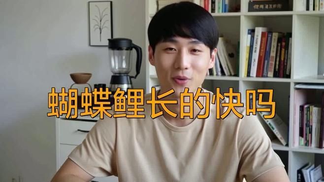 蝴蝶鯉5到6厘米是多久的魚【6厘米的蝴蝶鯉多久能養大】