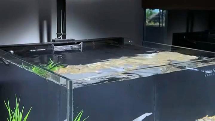 能詳細(xì)介紹一下森森魚缸嗎？【智能模式回答完成調(diào)用工具：百度優(yōu)選森森sunsun】