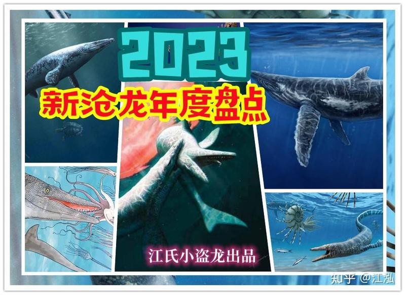 滄龍都有哪些品種【滄龍的基本介紹】