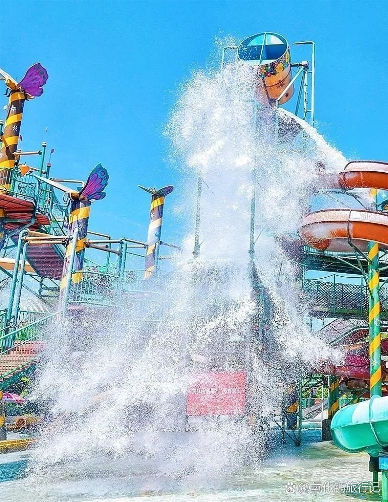 蘆溪水族店【蘆溪縣有新的水族店開業(yè)嗎】