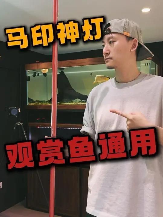 馬印神燈怎么樣【智能模式回答完成調(diào)用工具：馬印神燈真實使用效果分享】