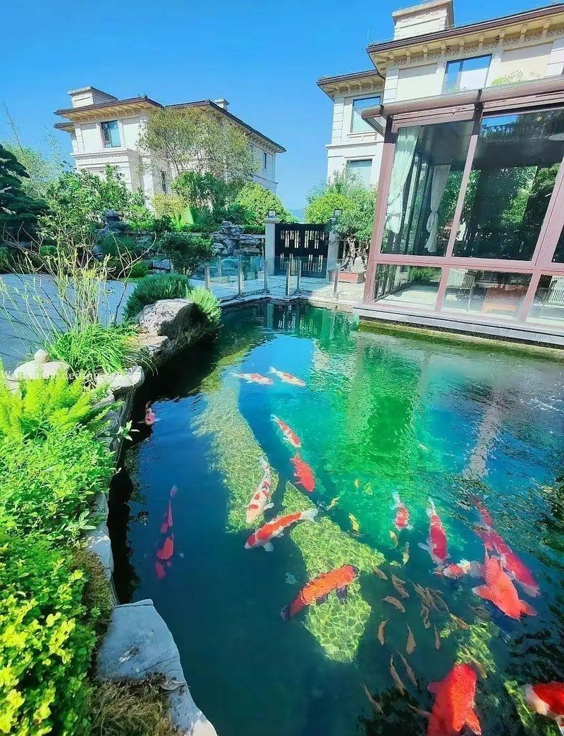 露臺魚池風水布局方位【庭院魚池的風水布局】