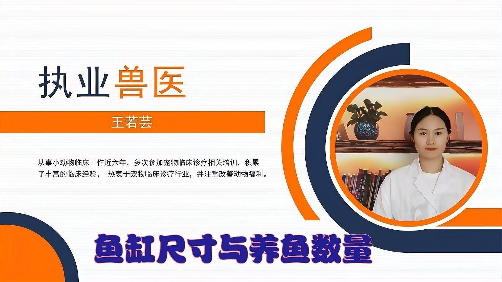 魚缸尺寸與養魚數量關系【多大的魚缸養多少數量的魚】