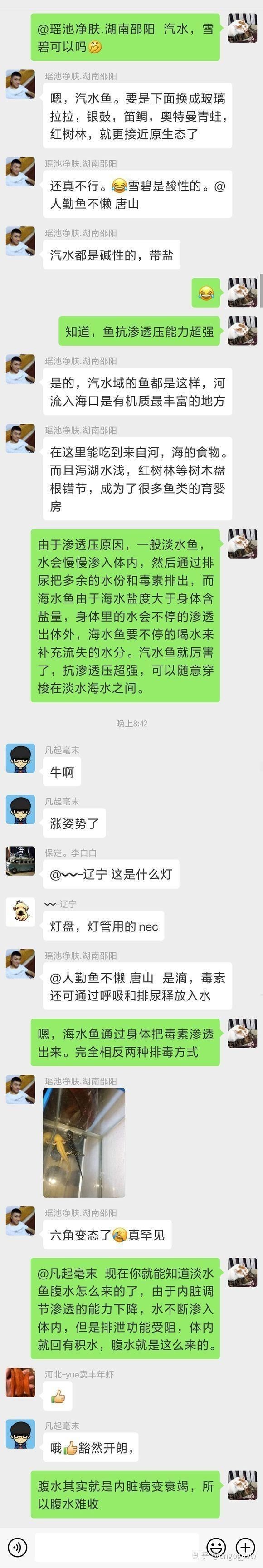 腹水魚(yú)最簡(jiǎn)單三個(gè)處理【三種最簡(jiǎn)單有效的腹水病處理方法】