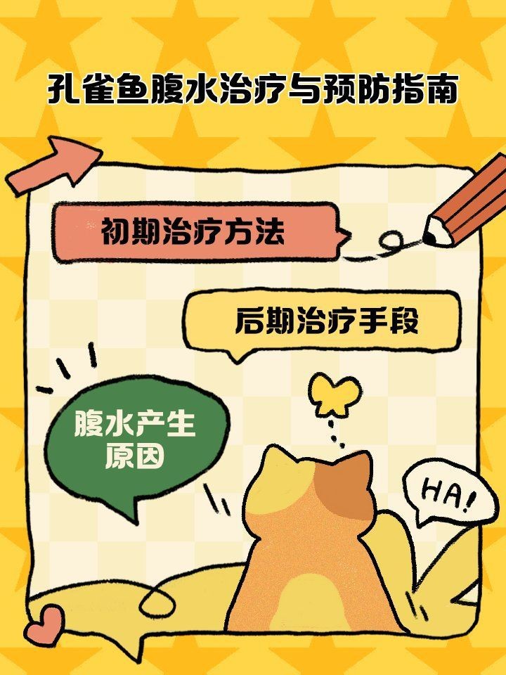 腹水魚(yú)最簡(jiǎn)單三個(gè)處理【三種最簡(jiǎn)單有效的腹水病處理方法】