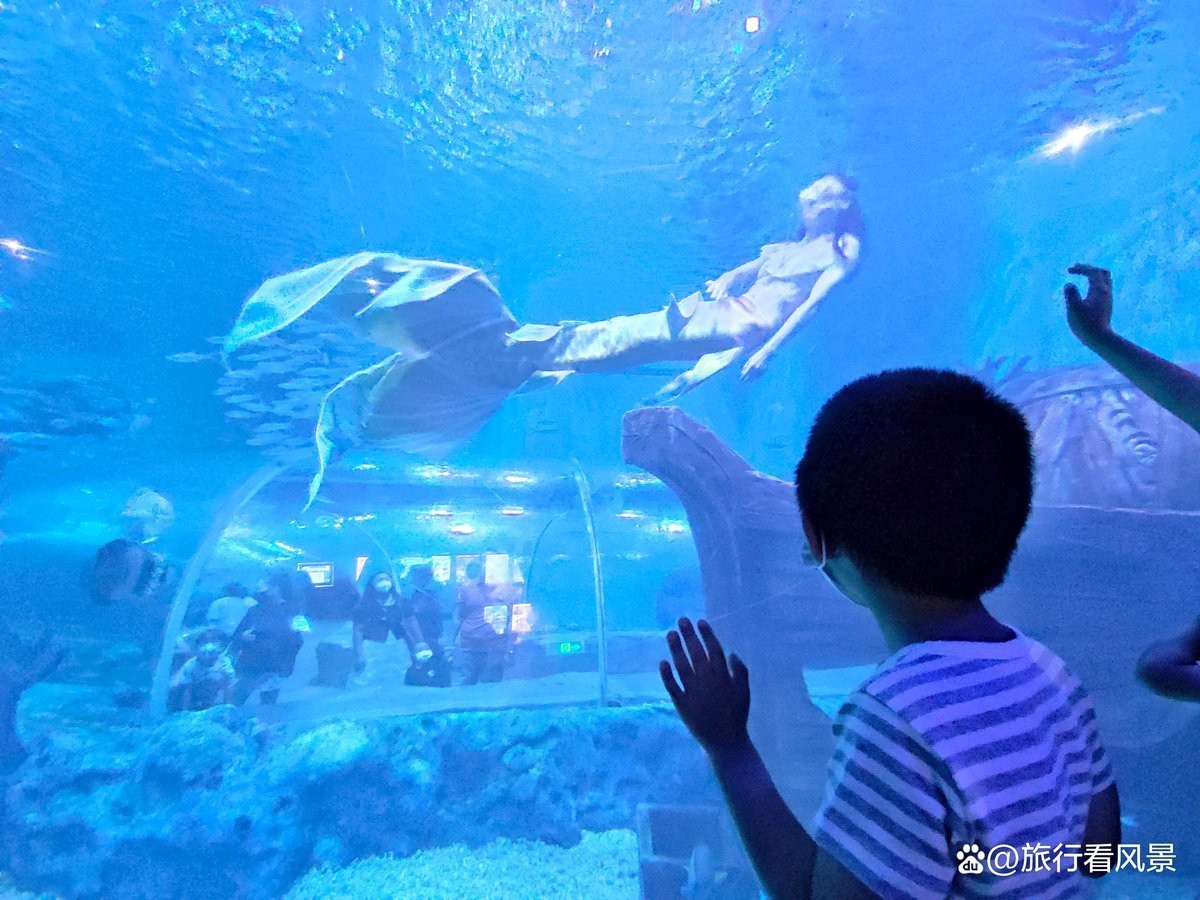 順義水族店【北京小月灣灣水族店名錄集北京小月灣灣水族店名錄集】