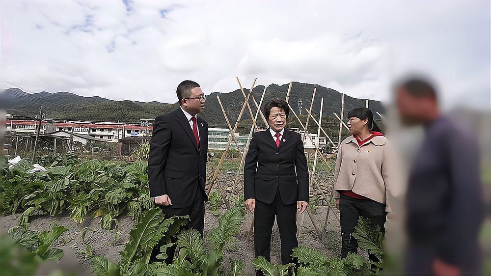 強拆農民養殖場合法嗎【強拆農民養殖場的法律邊界與現實困境】
