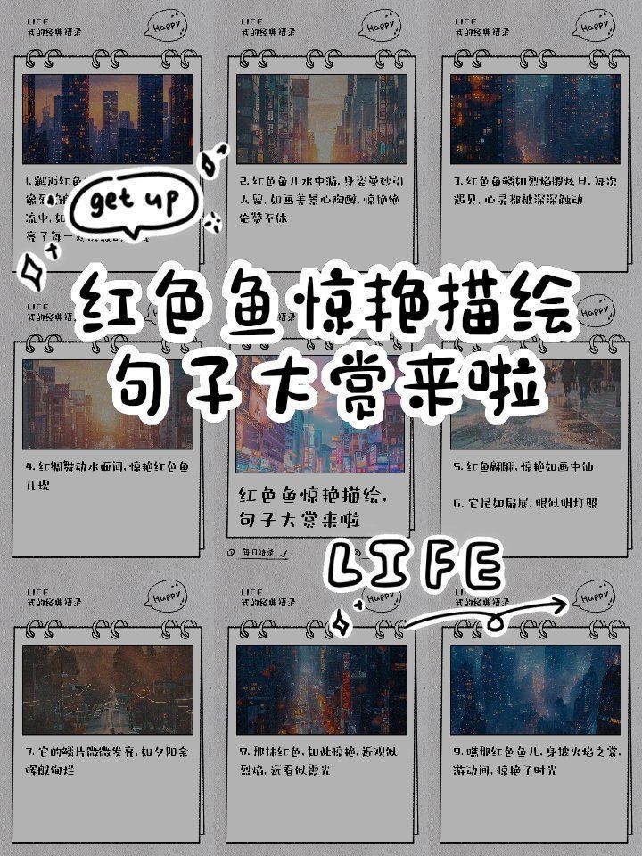 紅血魚最漂亮的照片【世界最貴的十大觀賞魚】