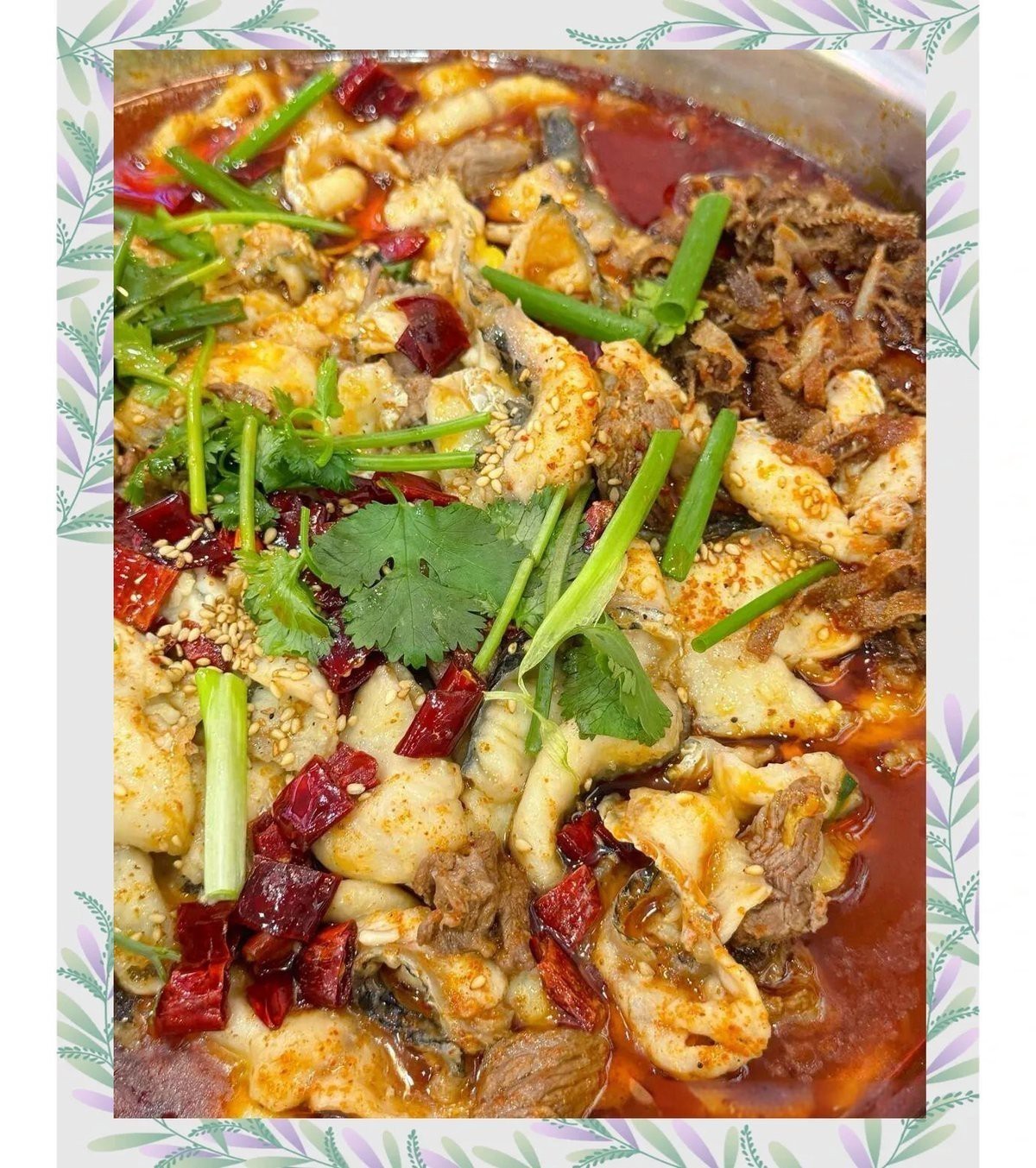 龍灣龍魚店【聚龍灣龍魚店的價格范圍】