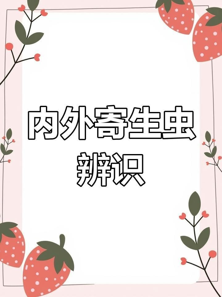 龍魚內(nèi)寄和外寄哪個正確【養(yǎng)魚老道,龍魚常見病及治療方法分享龍魚內(nèi)寄型和細菌型腸炎】