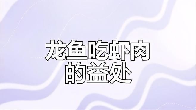 紅龍魚喂蝦好還是泥鰍好【紅龍魚的喂食選擇是飼養過程中的關鍵環節】 紅龍魚喂蝦好還是泥鰍好【紅龍魚的喂食選擇是飼養過程中的關鍵環節】 龍魚論壇 第3張
