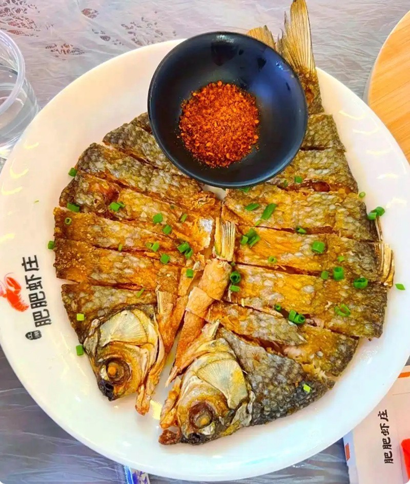武陟龍魚店【李新才與武陟龍魚店的關系介紹】