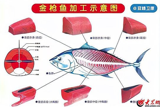 武陟龍魚店【李新才與武陟龍魚店的關系介紹】
