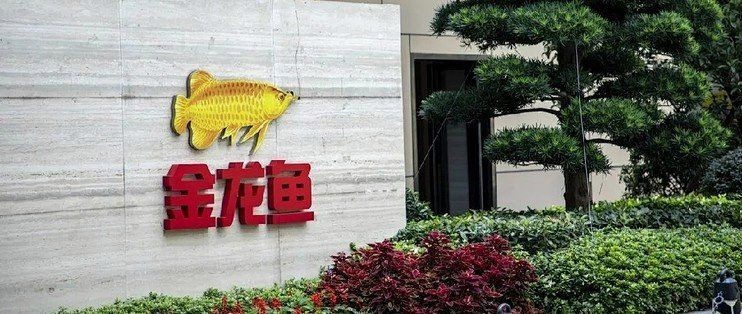 金龍魚是美國(guó)控股嗎【金龍魚并非由美國(guó)直接控股，但其股權(quán)結(jié)構(gòu)涉及復(fù)雜的跨國(guó)資本關(guān)系】 金龍魚是美國(guó)控股嗎【金龍魚并非由美國(guó)直接控股，但其股權(quán)結(jié)構(gòu)涉及復(fù)雜的跨國(guó)資本關(guān)系】 龍魚百科 第2張