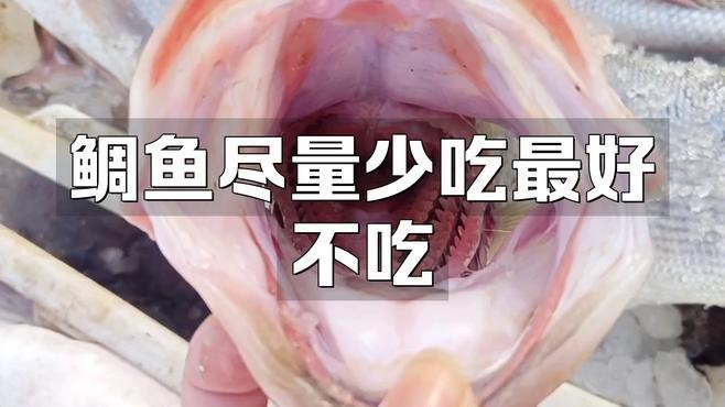 鯛魚為何要盡量少吃【智能模式回答完成調用工具：百度健康，鯛魚雖美】