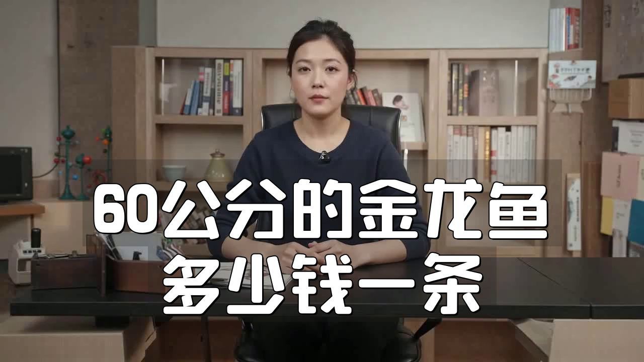 金龍魚價格錢一條【揭秘金龍魚的價格體系】 龍魚百科 第6張 金龍魚價格錢一條【揭秘金龍魚的價格體系】 金龍魚價格錢一條【揭秘金龍魚的價格體系】 龍魚百科 第6張