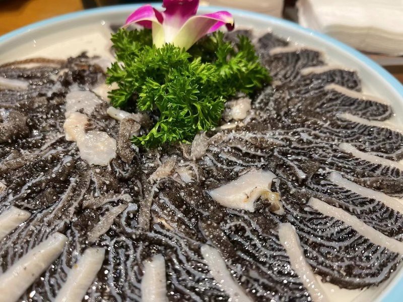 滿都拉水族店【滿都拉水族店有哪些特色魚類】