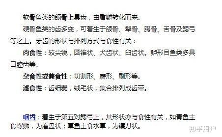 清魚牙齒圖片大全【青魚牙齒的奇妙世界】 清魚牙齒圖片大全【青魚牙齒的奇妙世界】 龍魚論壇 第4張