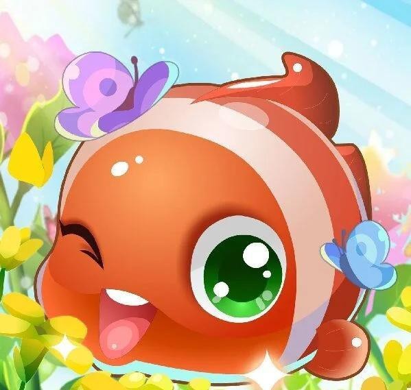民豐水族店【民豐水族店有哪些特色魚種】 民豐水族店【民豐水族店有哪些特色魚種】 全國(guó)水族館企業(yè)名錄 第2張