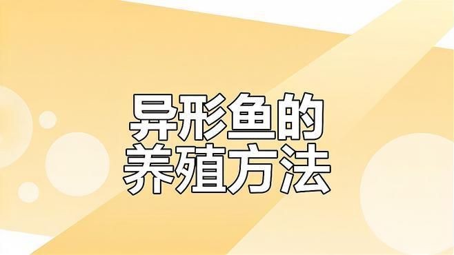 哥白異型魚(yú)好養(yǎng)嗎【全面解析哥白異型魚(yú)的飼養(yǎng)要點(diǎn)】 哥白異型魚(yú)好養(yǎng)嗎【全面解析哥白異型魚(yú)的飼養(yǎng)要點(diǎn)】 龍魚(yú)論壇 第9張
