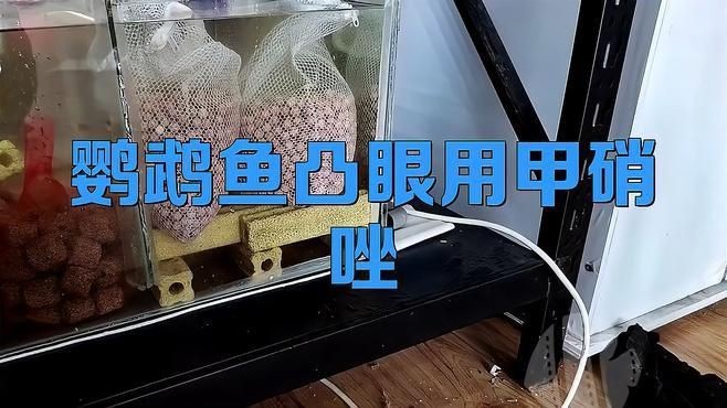 哪些藥物可以有效治療魚(yú)突眼？【智能模式回答完成調(diào)用工具：百度健康治療魚(yú)突眼的有效藥物】