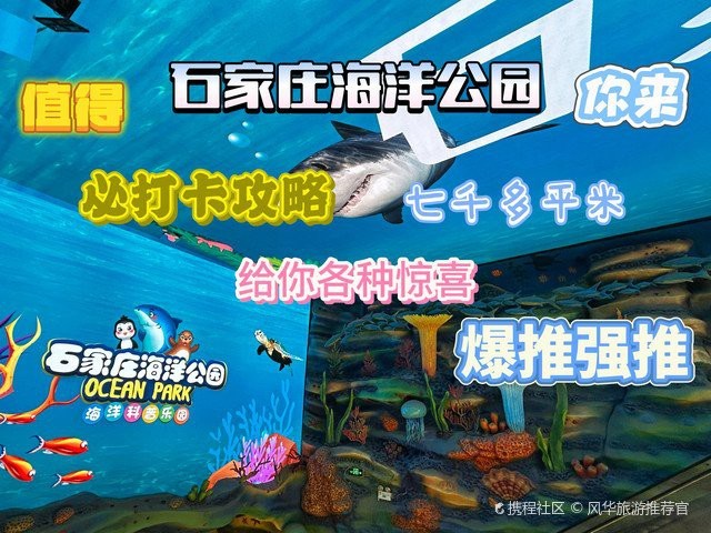 河北水族店【河北水族行業發展趨勢分析】