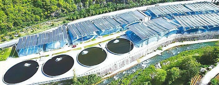 鄖西水族店【鄖西縣有哪些水族店】