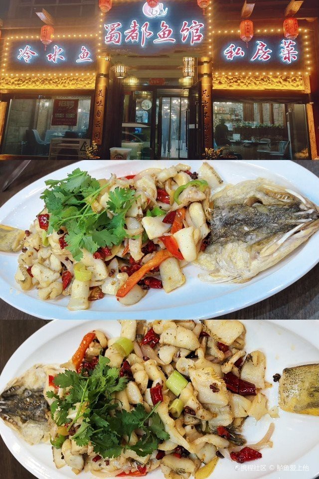 藍(lán)山龍魚店【藍(lán)山龍魚店有哪些特色】 藍(lán)山龍魚店【藍(lán)山龍魚店有哪些特色】 全國水族館企業(yè)名錄 第3張