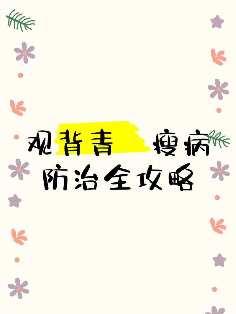觀背青鳉瘦病能自愈嗎【觀背青瘦病如何自愈】 觀背青鳉瘦病能自愈嗎【觀背青瘦病如何自愈】 龍魚論壇 第3張