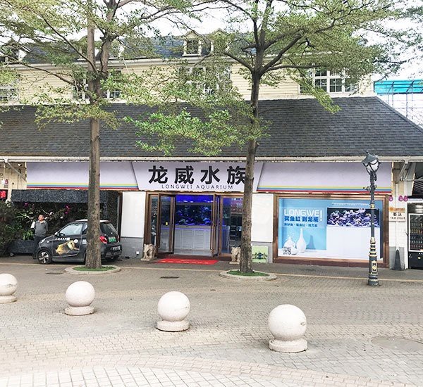 <strong><mark>深圳</mark></strong>水族店【<strong><mark>深圳</mark></strong>水族店哪家口碑最好】