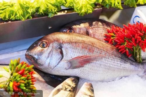 買到帶牙齒的魚像鳊魚【江西釣友，釣獲了大量有牙齒的“奇特鳊魚”】