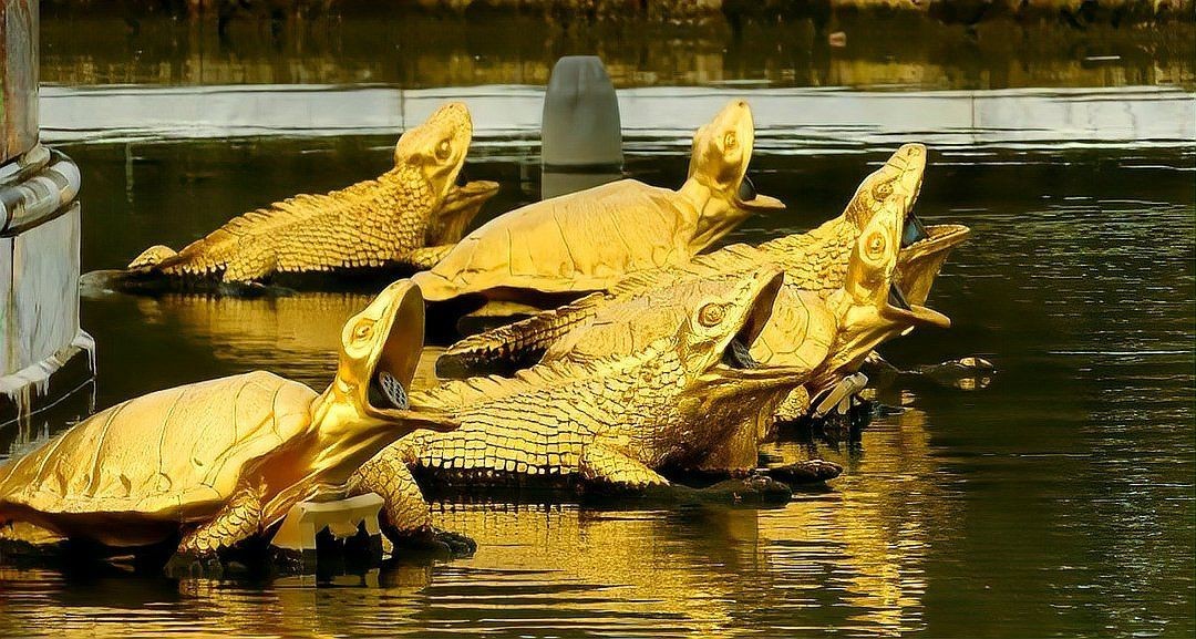 金色泥鰍魚寓意什么【金色泥鰍的寓意在古代文化中發(fā)生了一個(gè)極具哲學(xué)的象征體系】 龍魚百科 第1張 金色泥鰍魚寓意什么【金色泥鰍的寓意在古代文化中發(fā)生了一個(gè)極具哲學(xué)的象征體系】 金色泥鰍魚寓意什么【金色泥鰍的寓意在古代文化中發(fā)生了一個(gè)極具哲學(xué)的象征體系】 龍魚百科 第1張