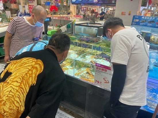 金色泥鰍魚寓意什么【金色泥鰍的寓意在古代文化中發(fā)生了一個(gè)極具哲學(xué)的象征體系】 龍魚百科 第12張 金色泥鰍魚寓意什么【金色泥鰍的寓意在古代文化中發(fā)生了一個(gè)極具哲學(xué)的象征體系】 金色泥鰍魚寓意什么【金色泥鰍的寓意在古代文化中發(fā)生了一個(gè)極具哲學(xué)的象征體系】 龍魚百科 第12張