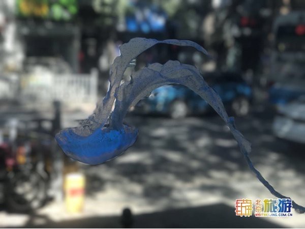 西城水族店【三木水景月光水母店有哪些】