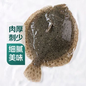 瓜州龍魚店【瓜州地區有龍魚愛好者嗎】 瓜州龍魚店【瓜州地區有龍魚愛好者嗎】 全國水族館企業名錄 第6張