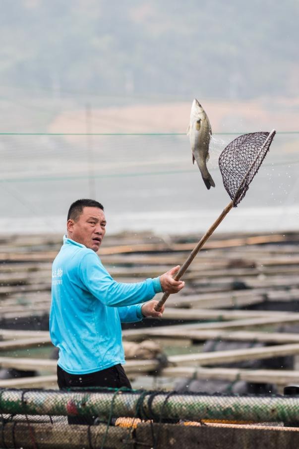 和靜龍魚店【【舌尖上的和靜龍魚店具體位置在哪里】