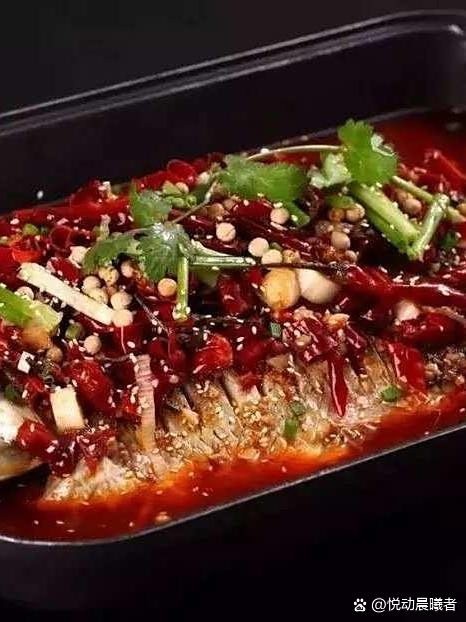 陽城龍魚店【陽城哪家魚店最專業(yè)】