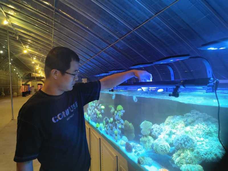 <strong><mark>香河</mark></strong>龍魚店【河北<strong><mark>香河</mark></strong>:龍魚躍進“致富門”】