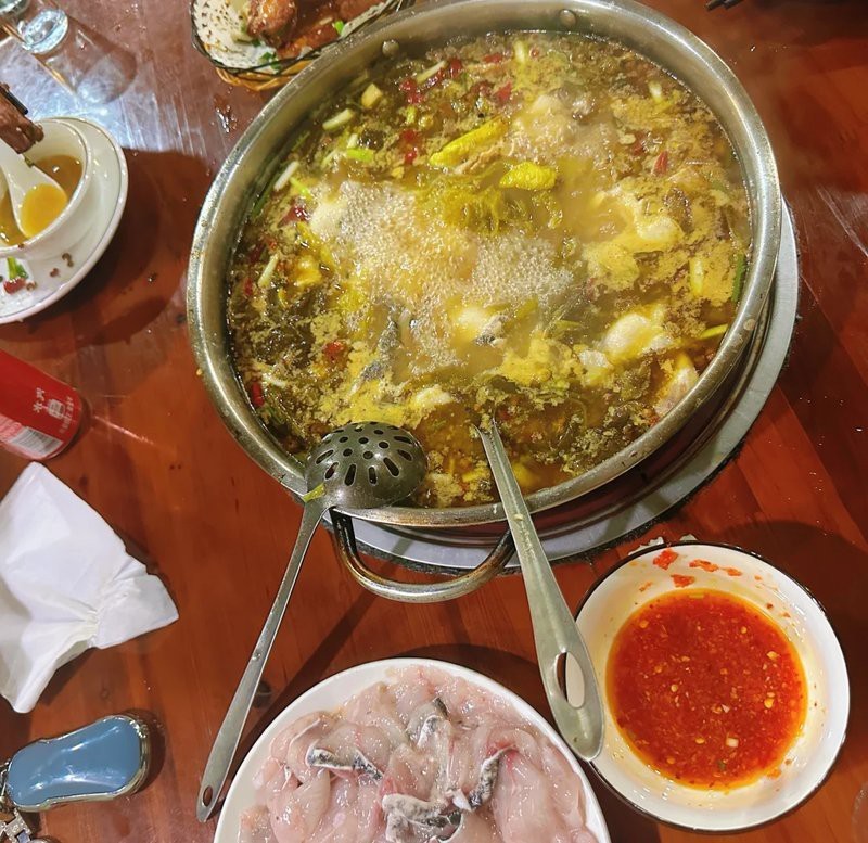 金華龍魚店【救命！江浙盛宴性價(jià)比之王被我挖到了！江南之旅即將啟程！】